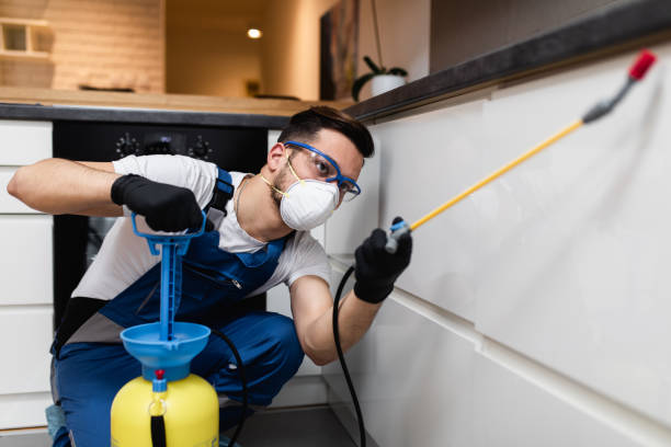 Best Cockroach Control Services  in St Peters, MO