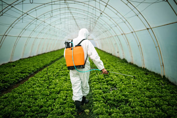 Best Affordable Pest Control Services  in St Peters, MO